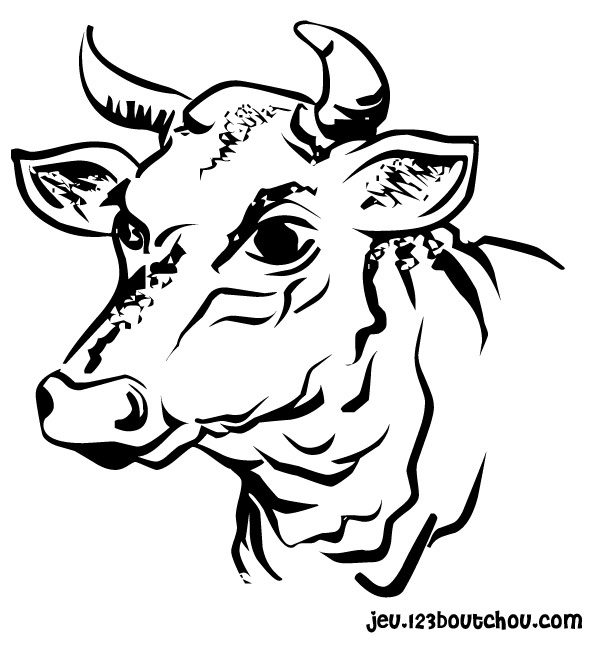 Coloriage Tete De Vache