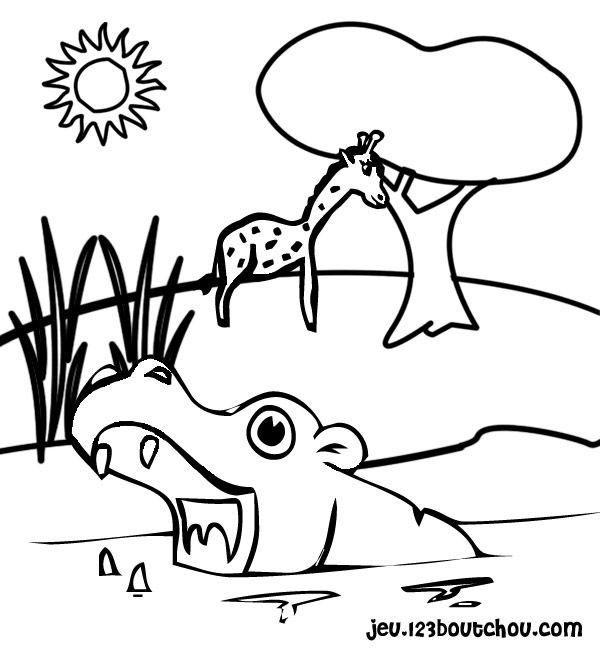 Maternelle: Coloriage magique : hippopotame
