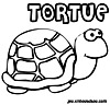 coloriage enfant Babule la tortue de mer